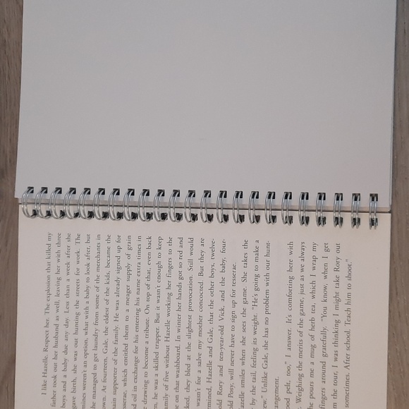 Secret Journal "Catching Fire" - Picture 2 of 6